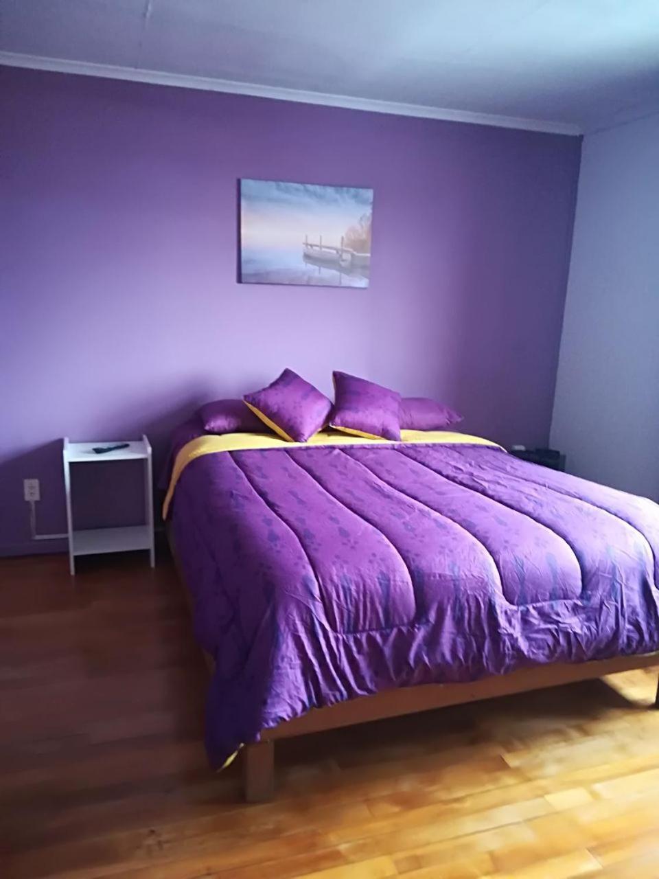 Puq Casa Amigos Apartment Punta Arenas Ngoại thất bức ảnh